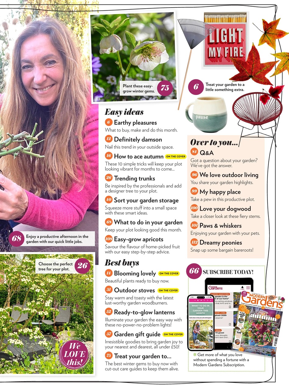 Modern Gardens Preview Pages