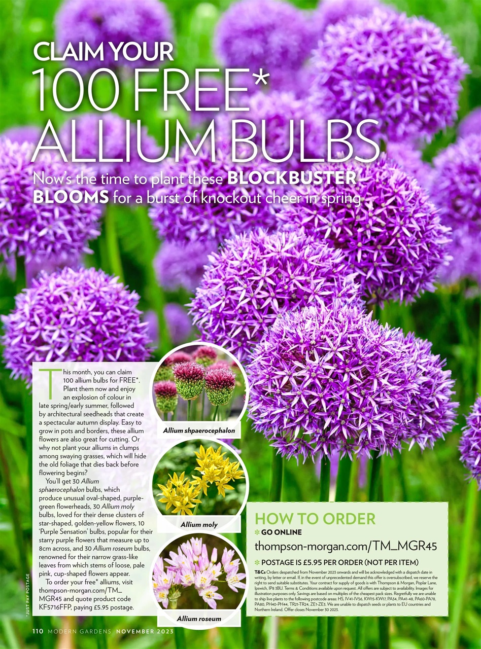 Modern Gardens Preview Pages