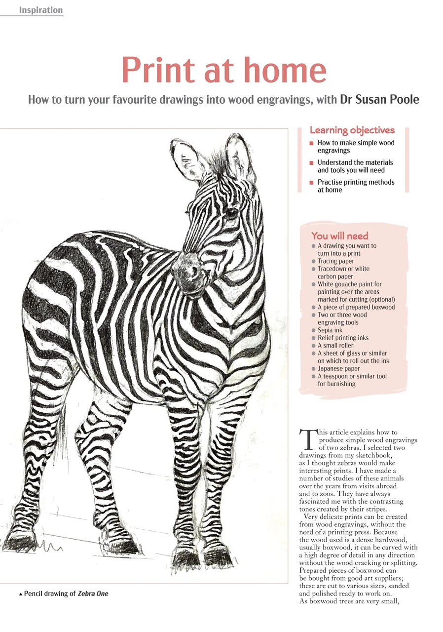 Leisure Painter & The Artist Preview Pages