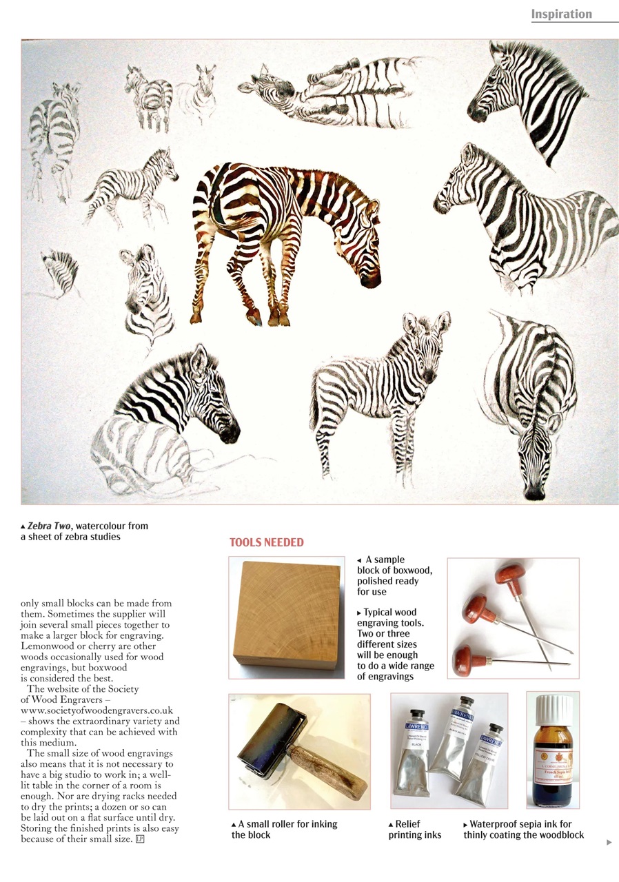 Leisure Painter & The Artist Preview Pages