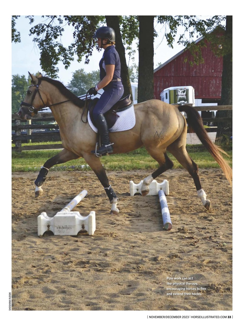 Horse Illustrated Magazine Preview Pages