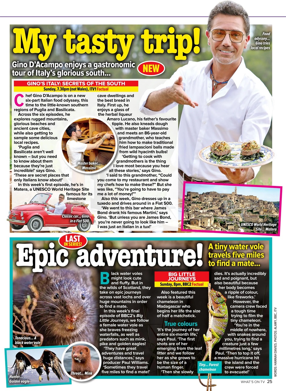 What's on TV Preview Pages