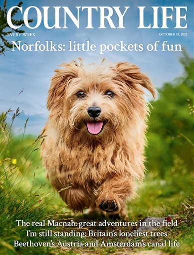 Country Life issue 