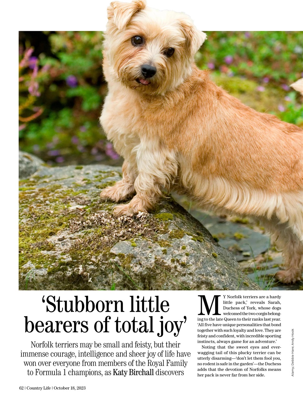 Country Life Preview Pages