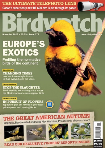Birdwatch Magazine issue November 2023