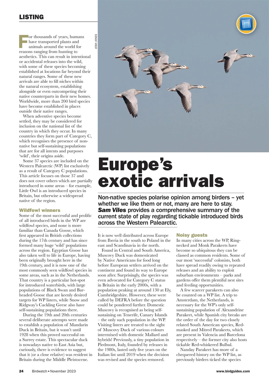 Birdwatch Magazine Preview Pages