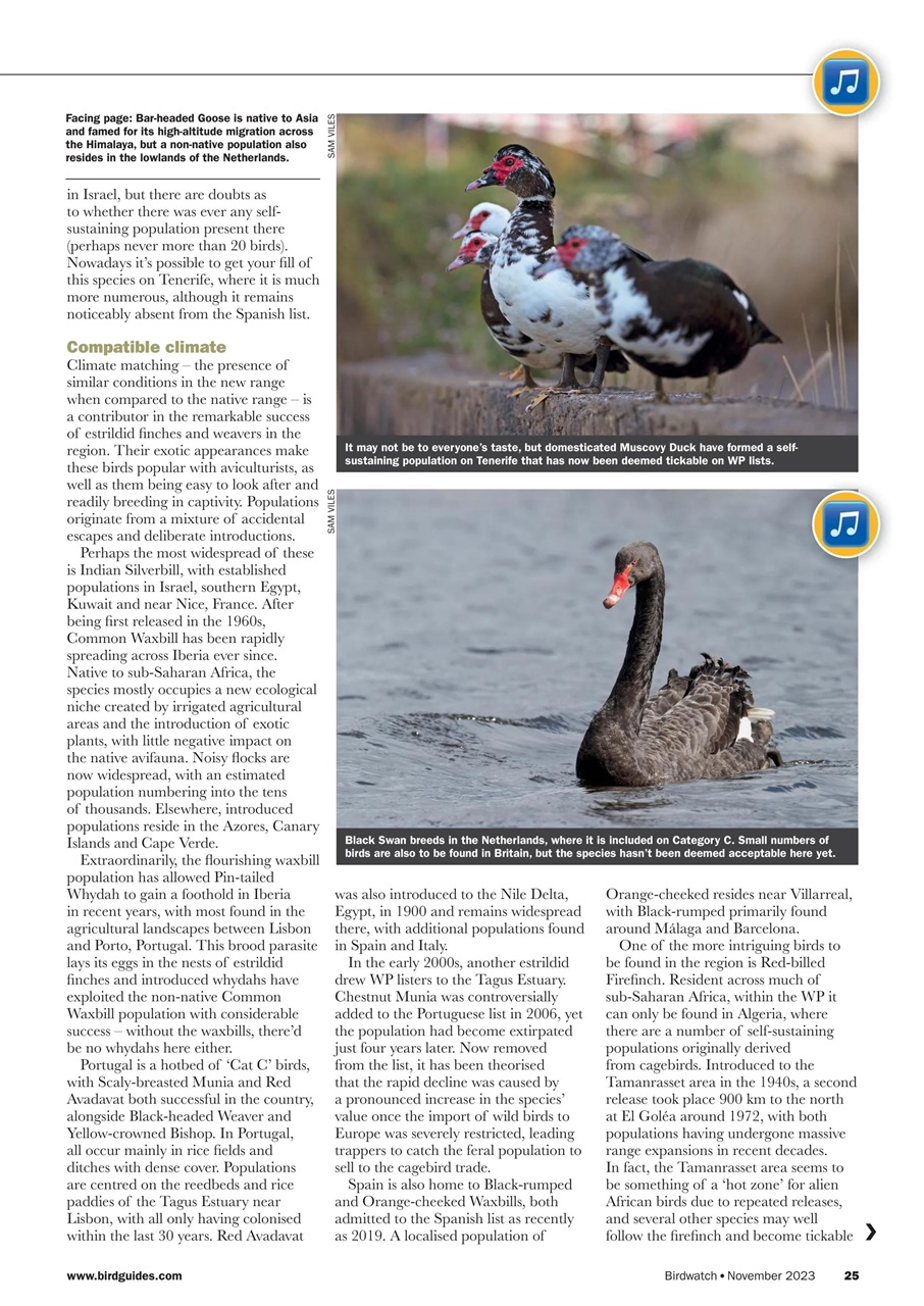 Birdwatch Magazine Preview Pages