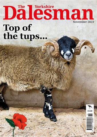 The Yorkshire Dalesman issue November 2023