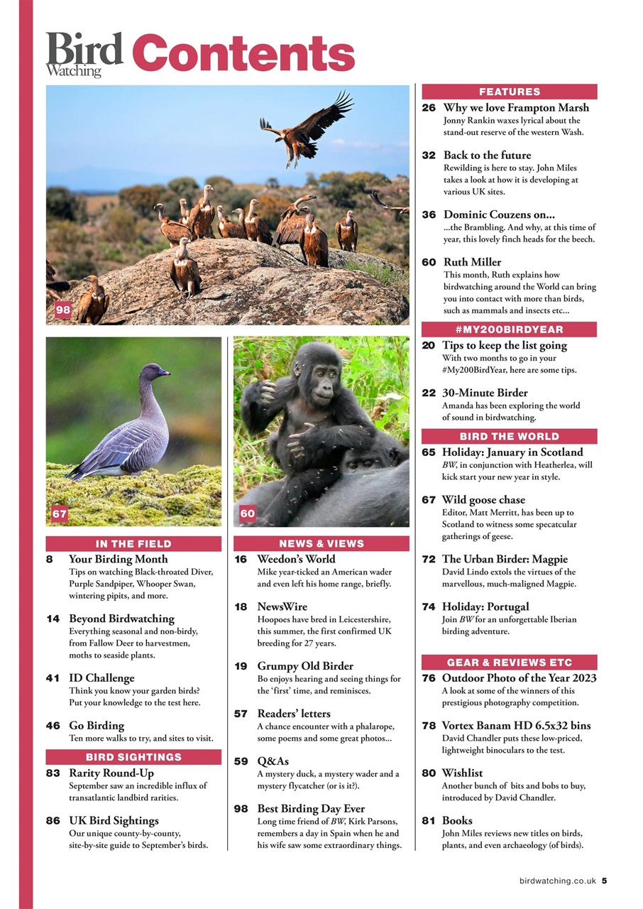 Bird Watching Preview Pages
