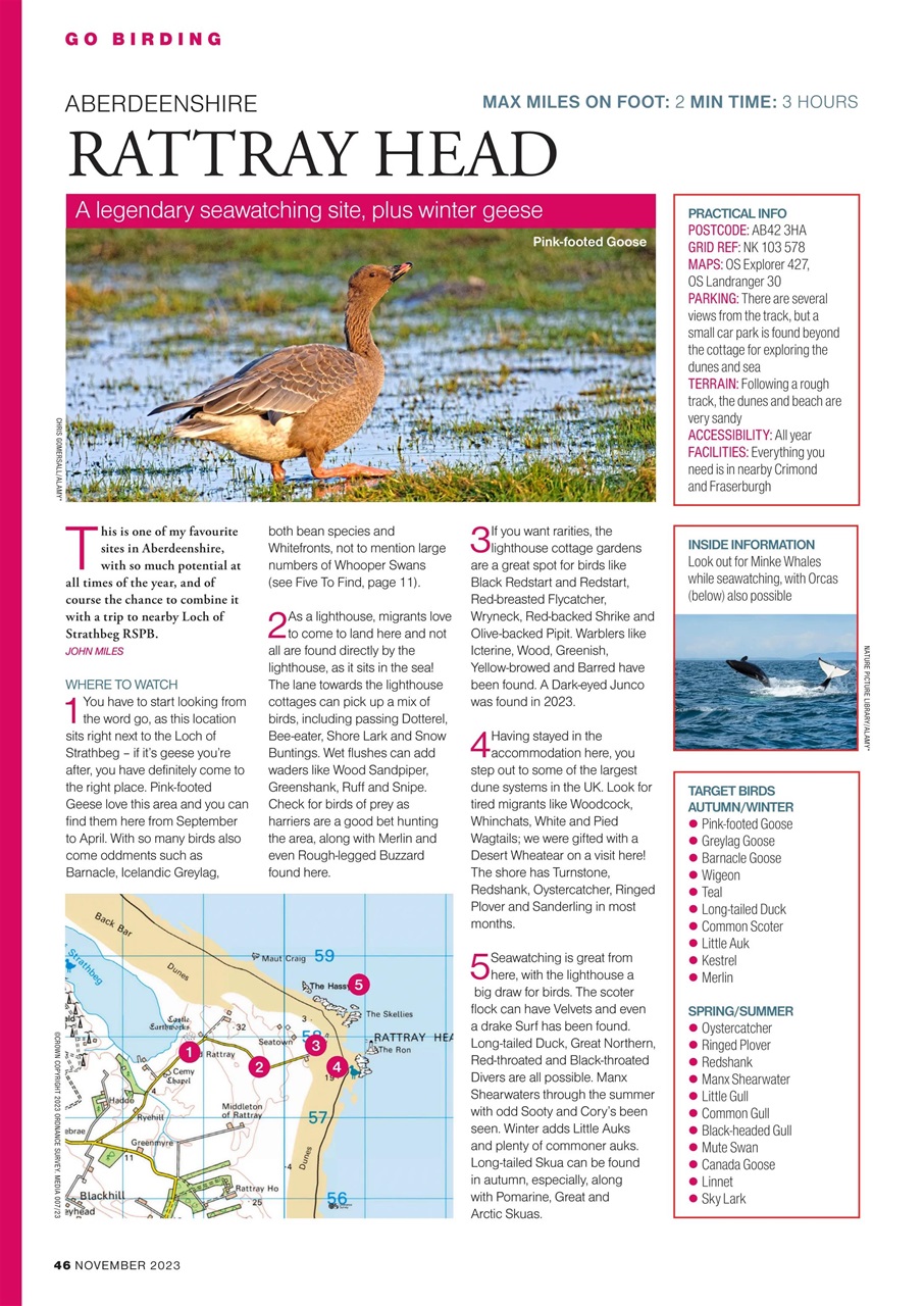 Bird Watching Preview Pages