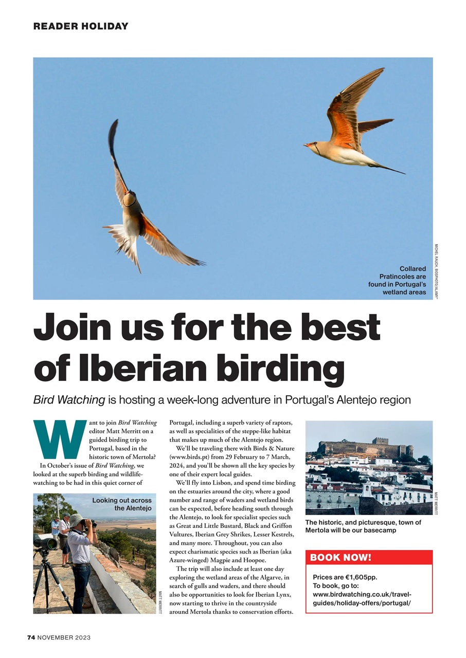 Bird Watching Preview Pages