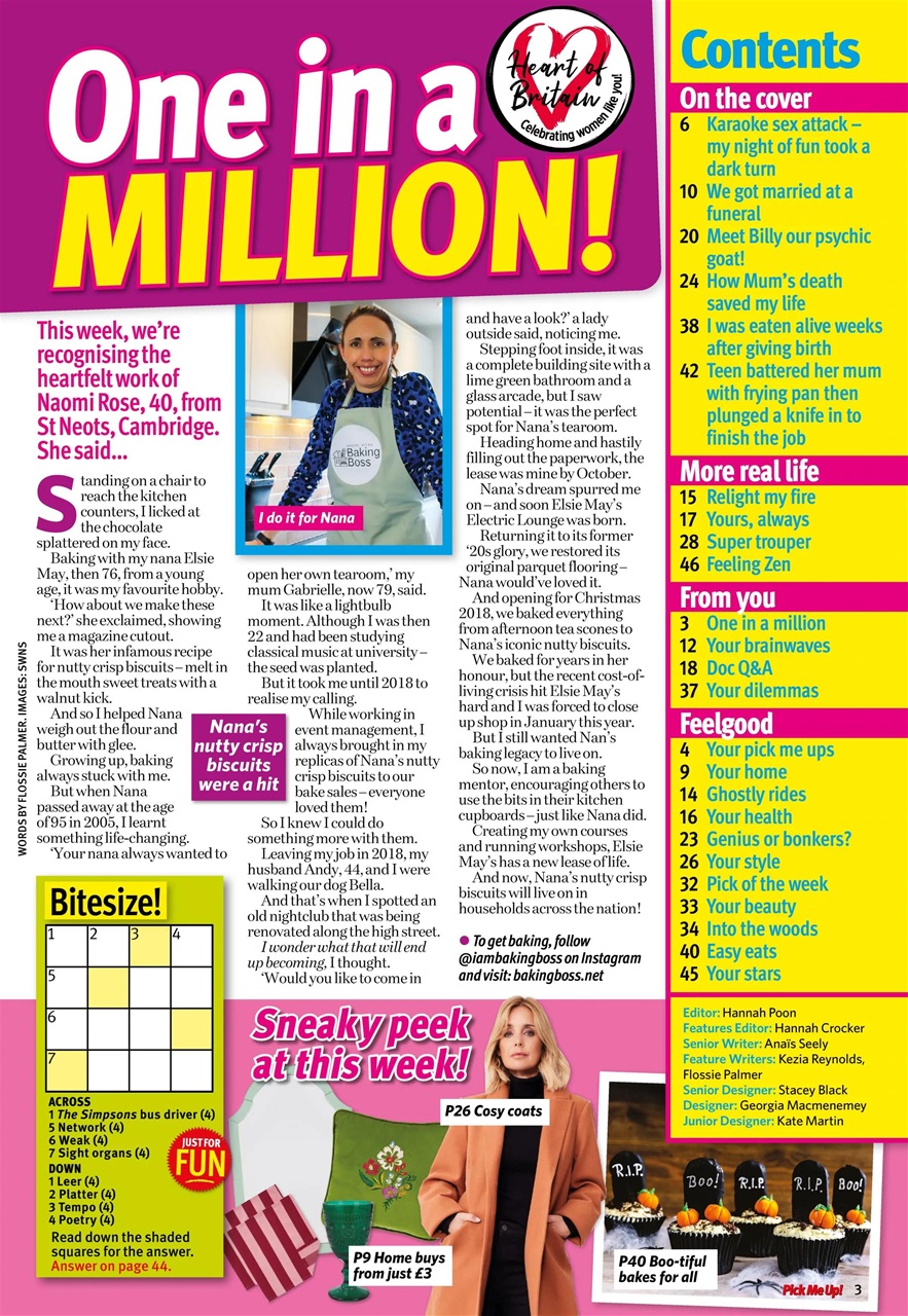 Pick Me Up Preview Pages