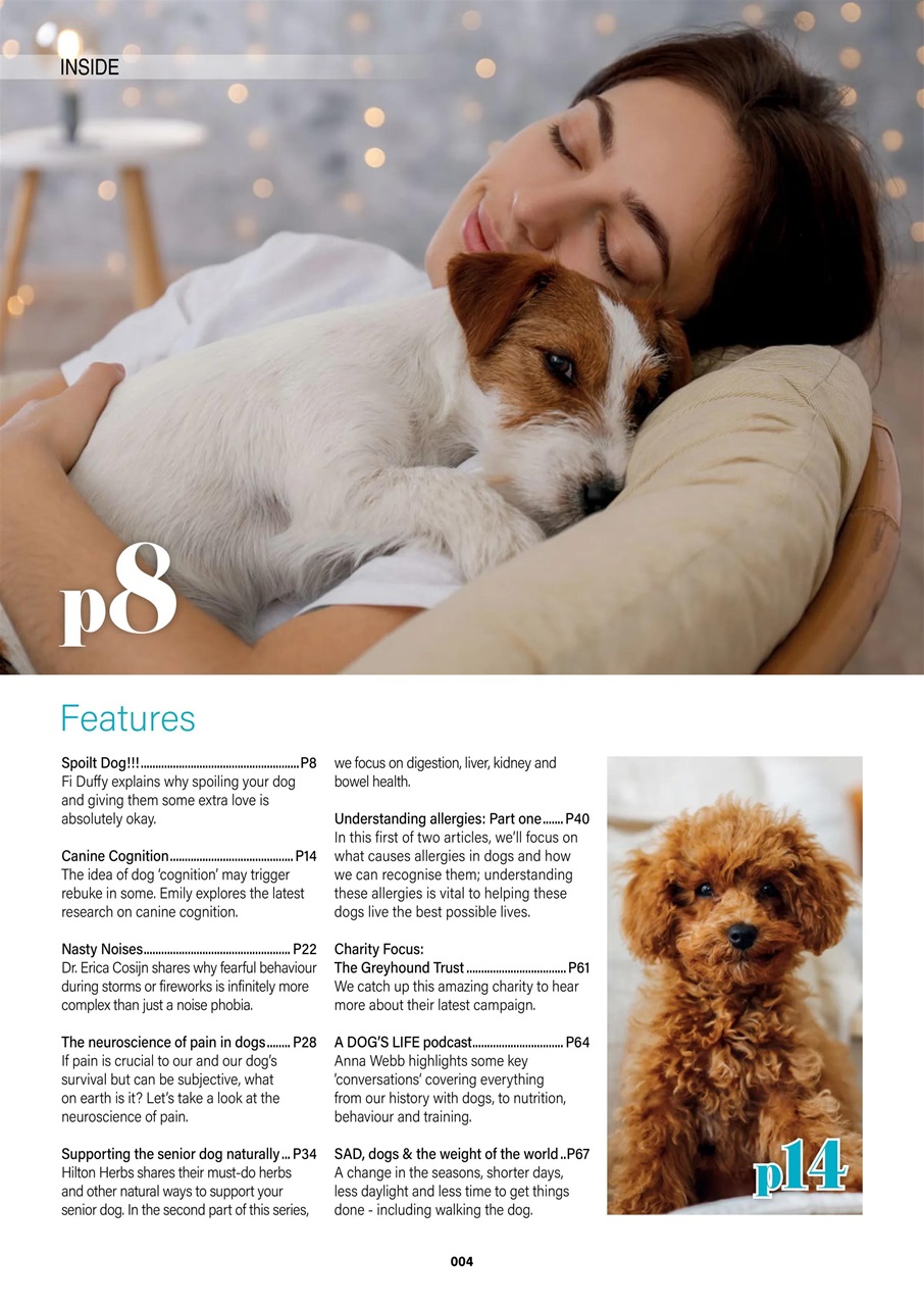 Edition Dog Preview Pages