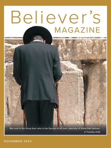 Believer Magazine issue November 2023