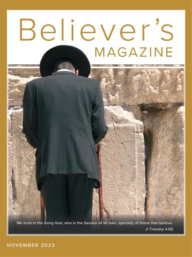 Believer Magazine issue 