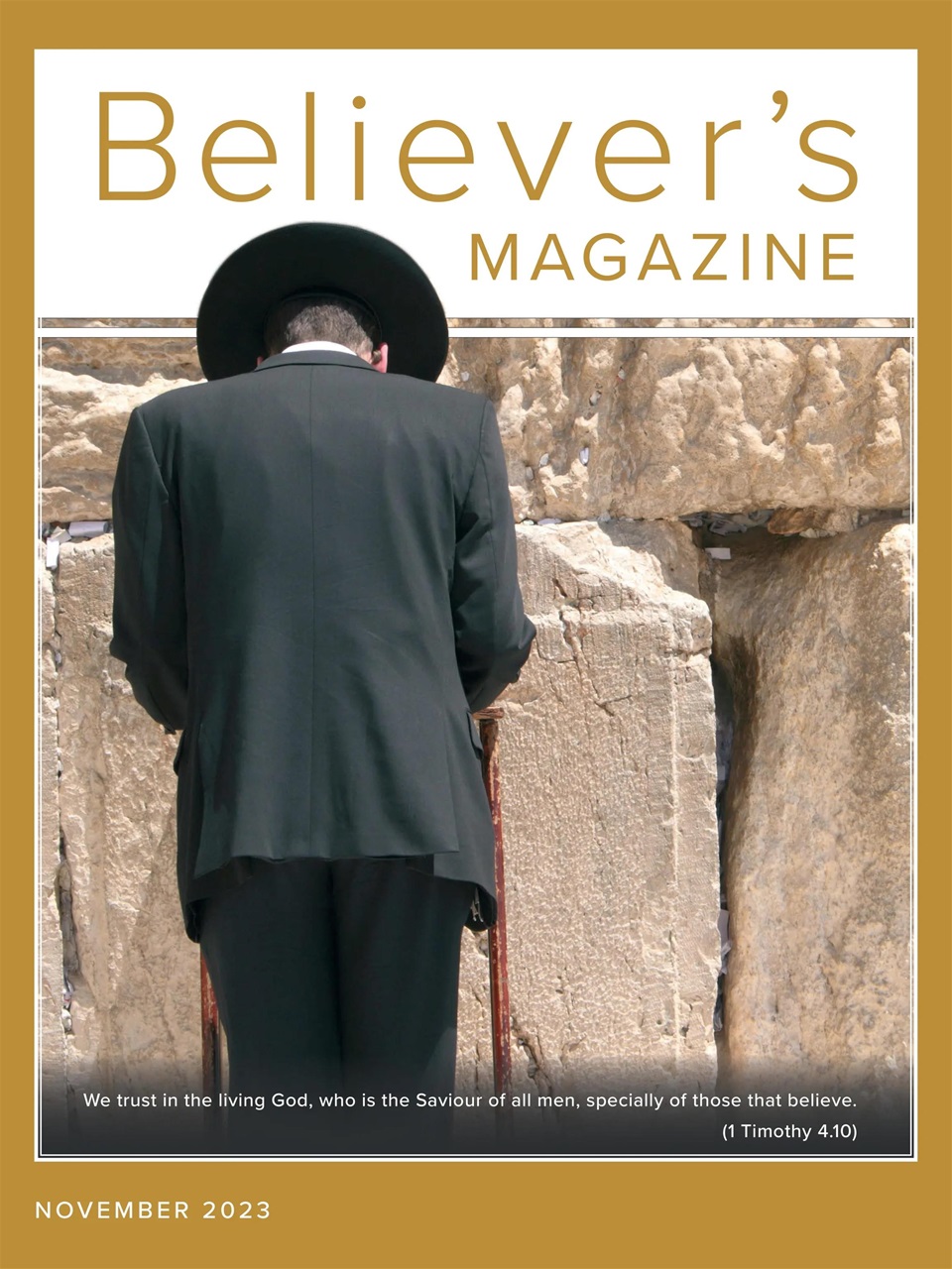 Believer Magazine Preview Pages