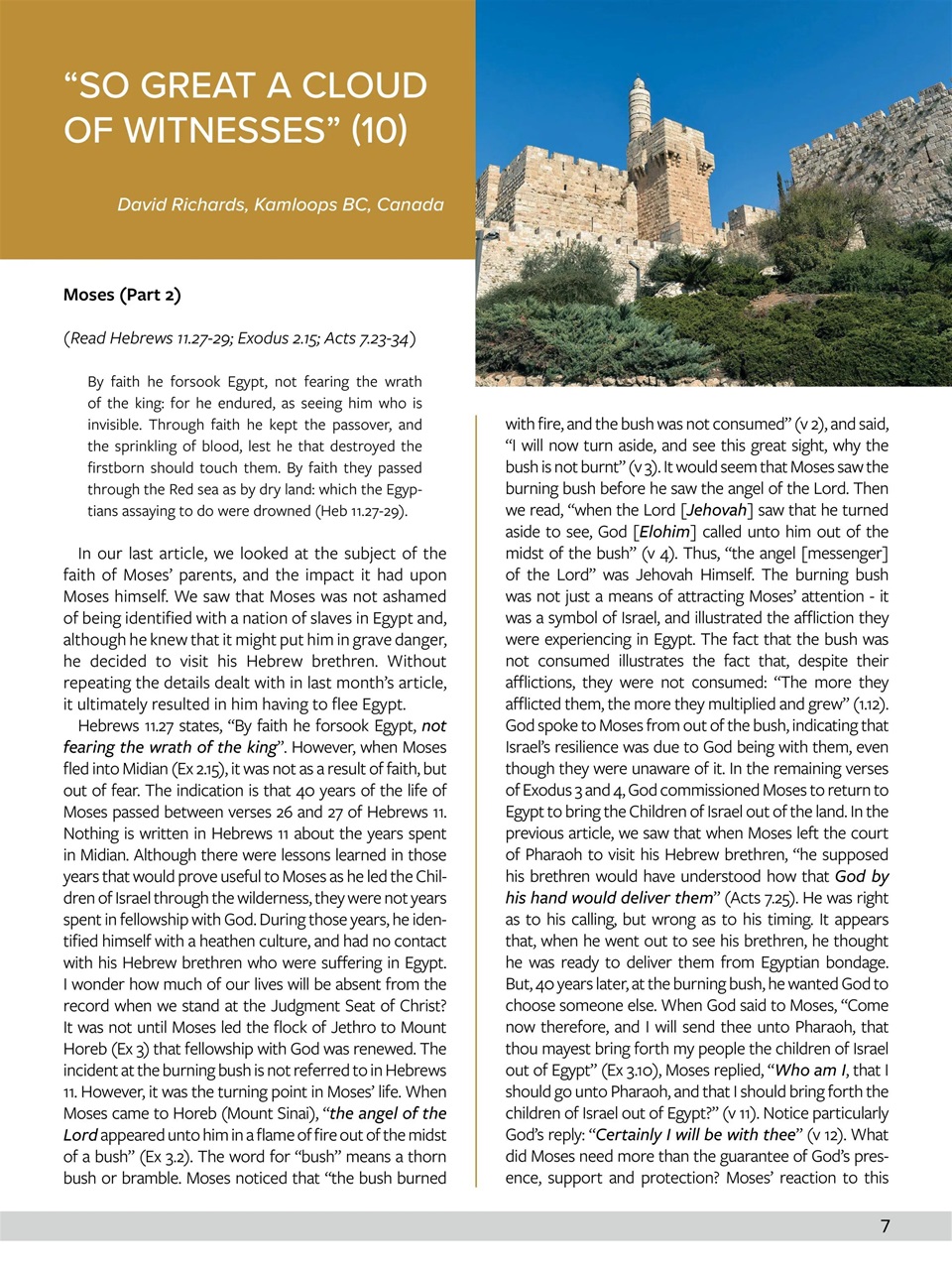 Believer Magazine Preview Pages