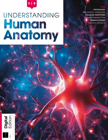 How It Works Bookazine issue Understanding Human Anatomy First Edition