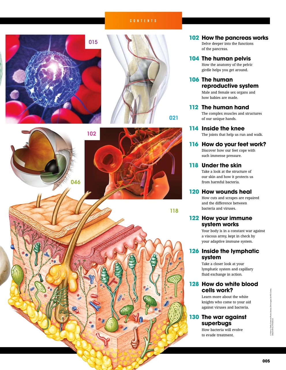 How It Works Bookazine Preview Pages