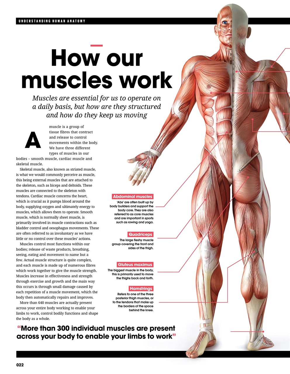 How It Works Bookazine Preview Pages