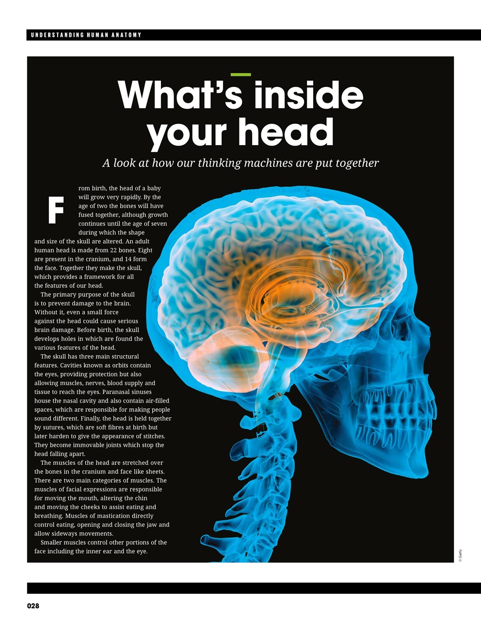 How It Works Bookazine Preview Pages