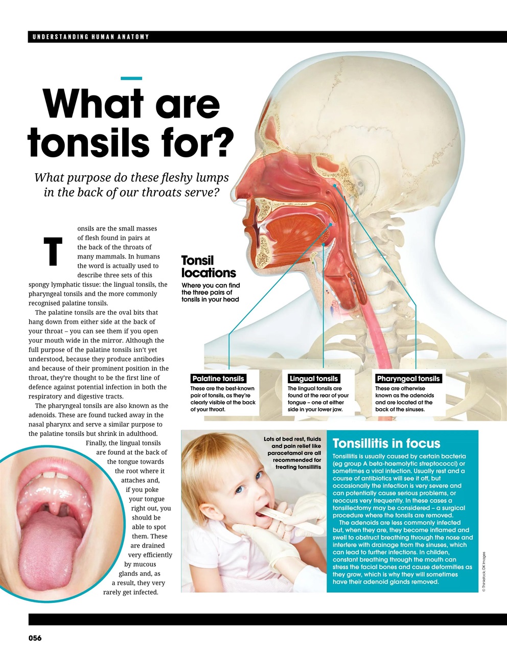 How It Works Bookazine Preview Pages