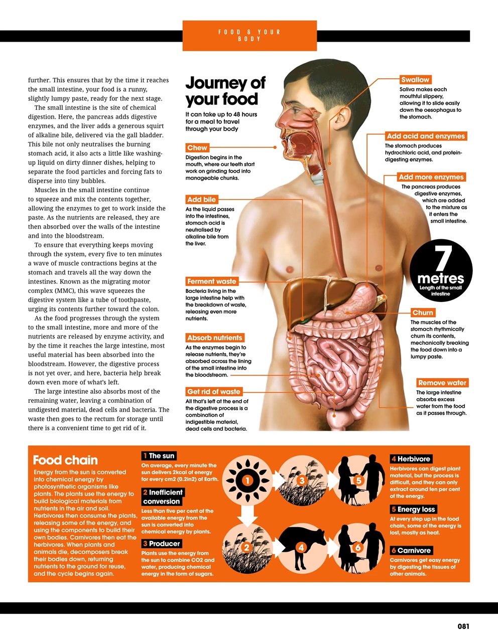 How It Works Bookazine Preview Pages