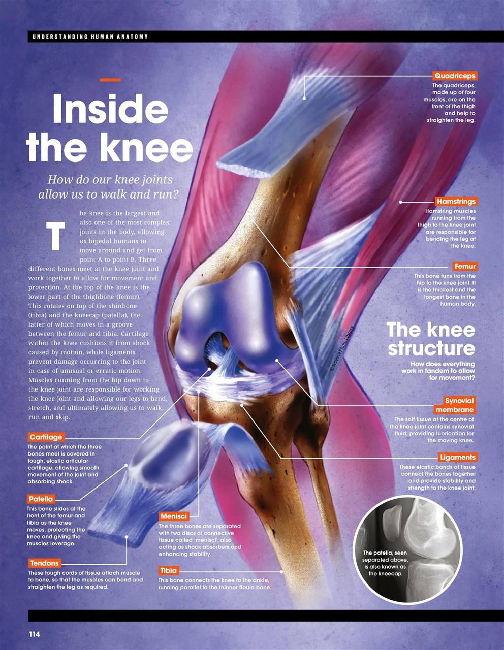 How It Works Bookazine Preview Pages