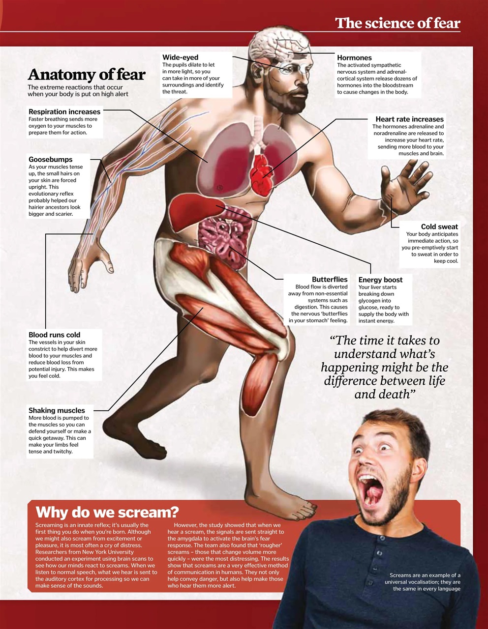 How It Works Bookazine Preview Pages