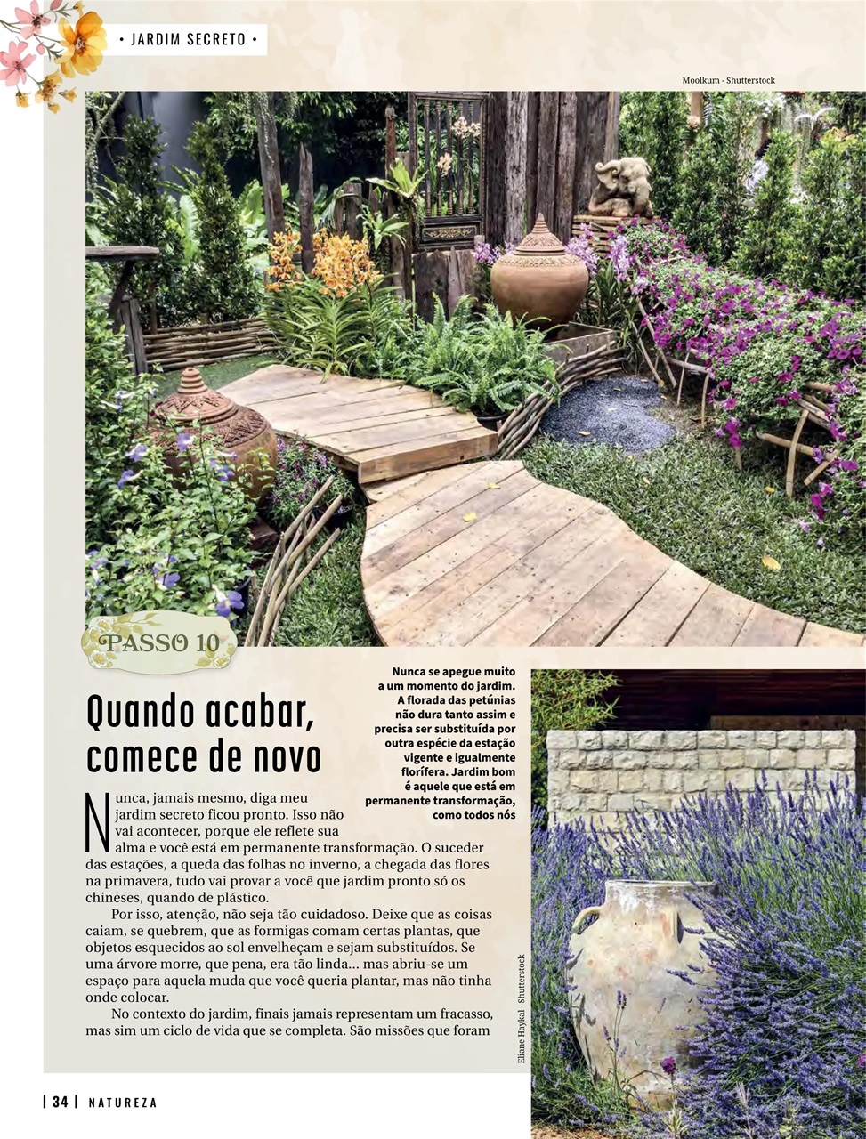 Natureza Preview Pages