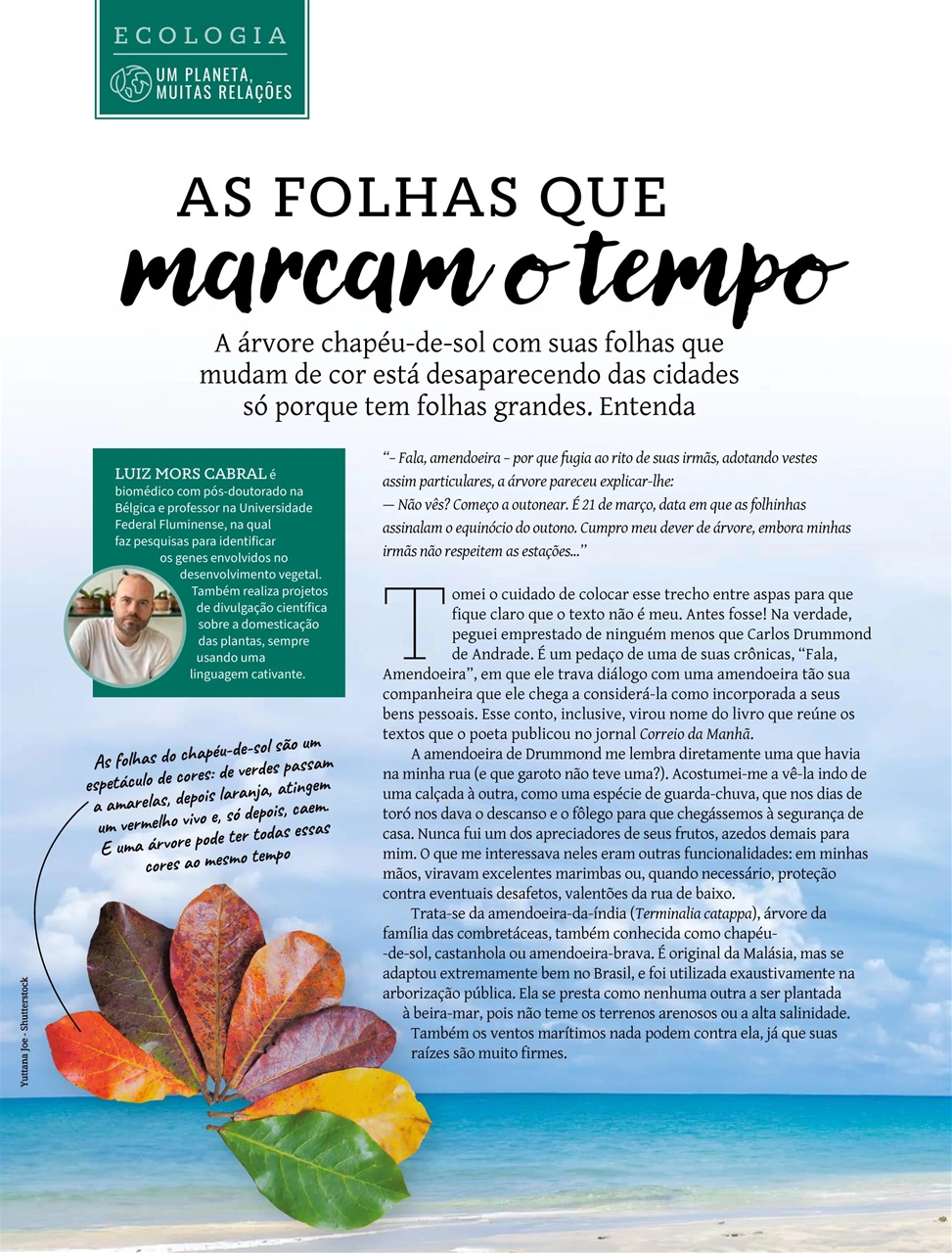 Natureza Preview Pages