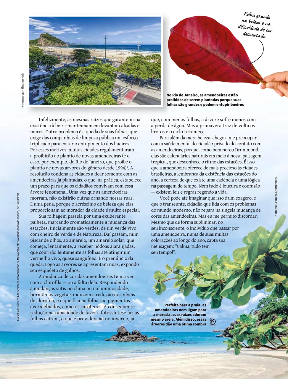 Natureza Preview Pages