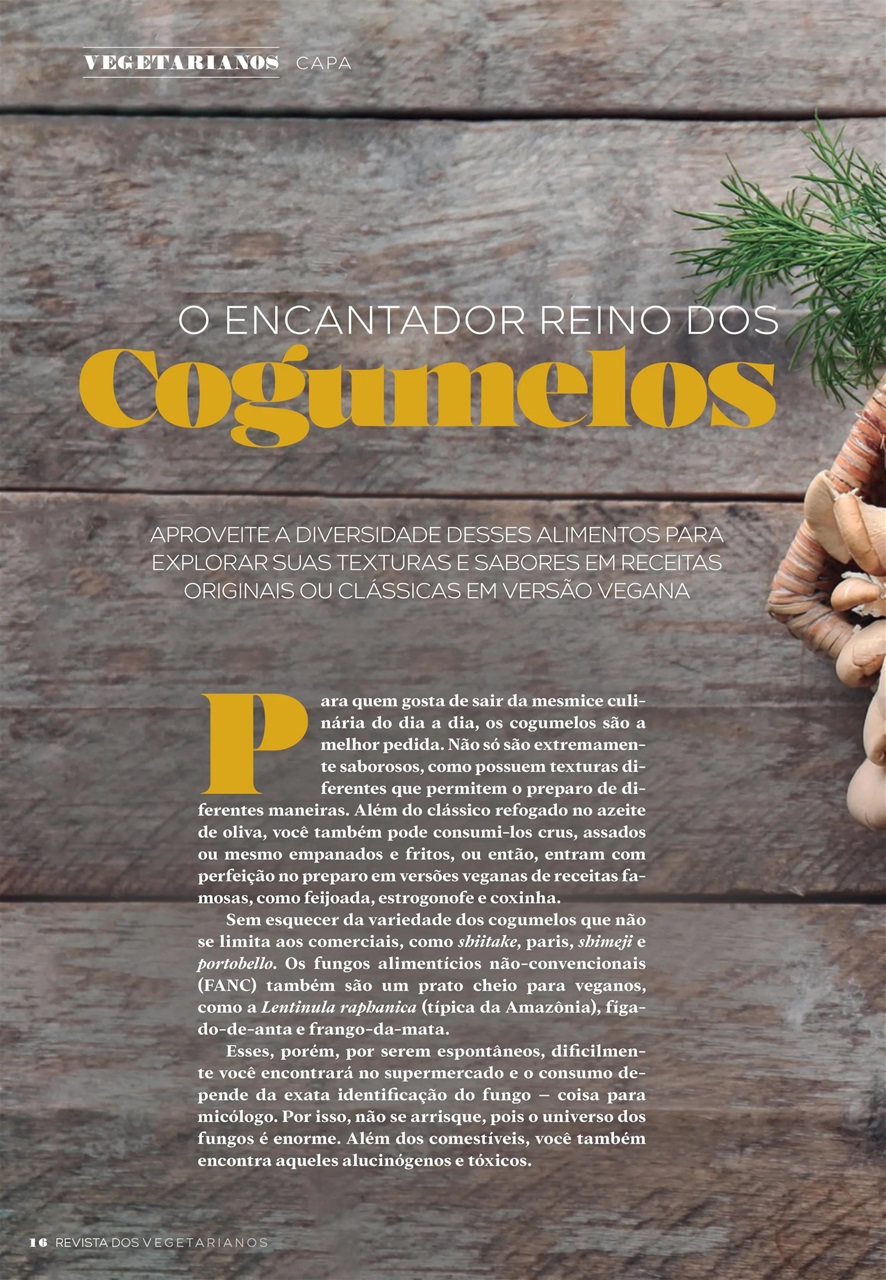 Vegetarianos Preview Pages