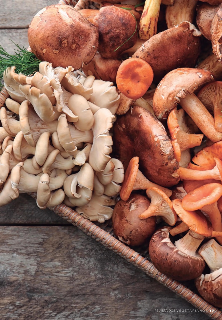 Vegetarianos Preview Pages