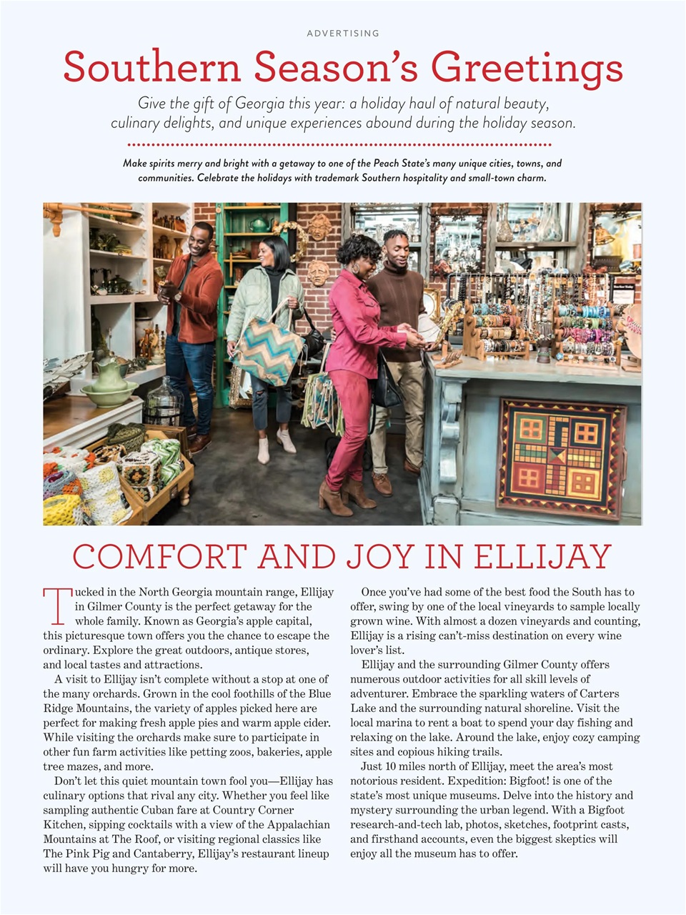 Taste of the South Preview Pages