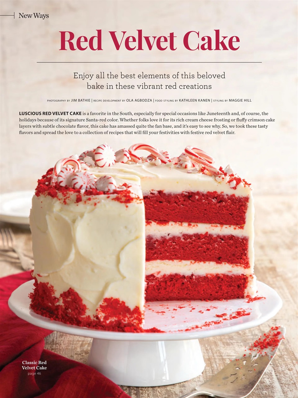 Taste of the South Preview Pages