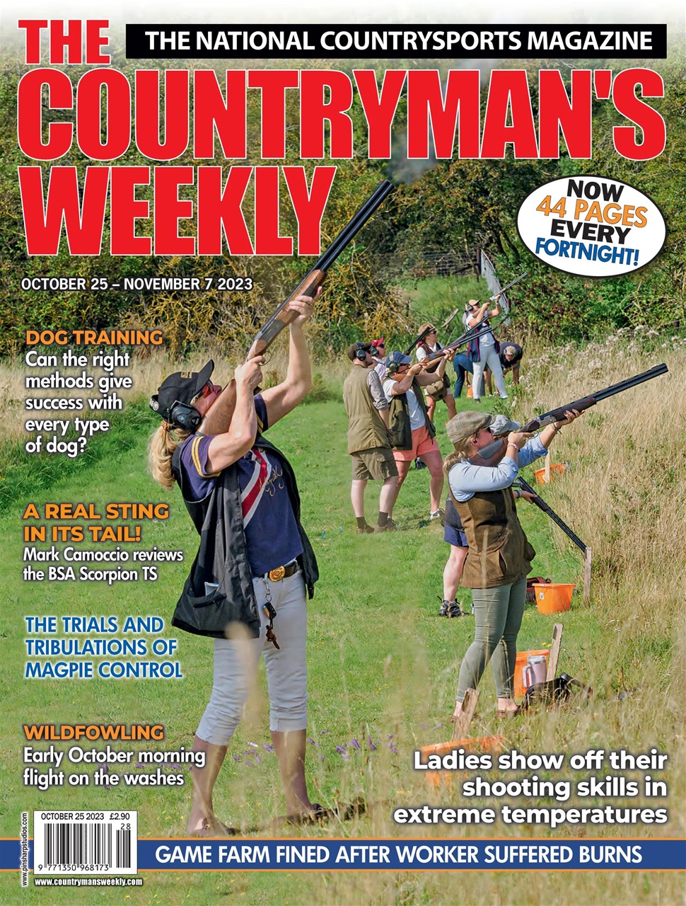 Countryman's Weekly Preview Pages