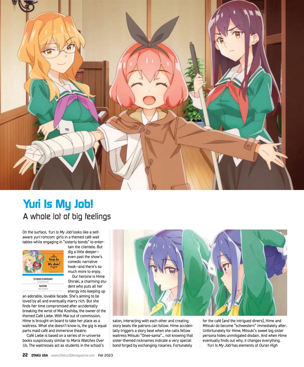 Otaku Preview Pages