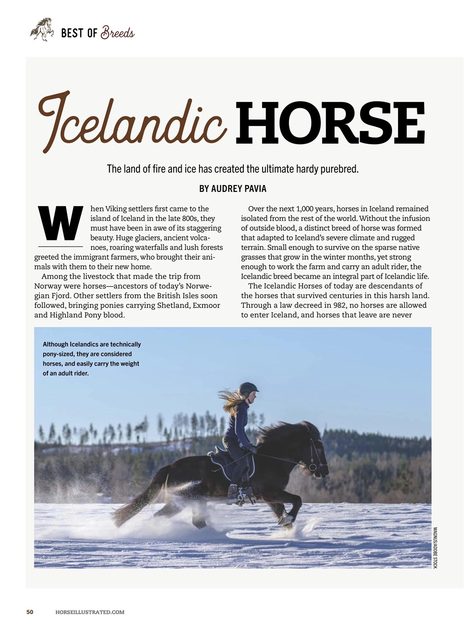 Horse Illustrated Magazine Preview Pages
