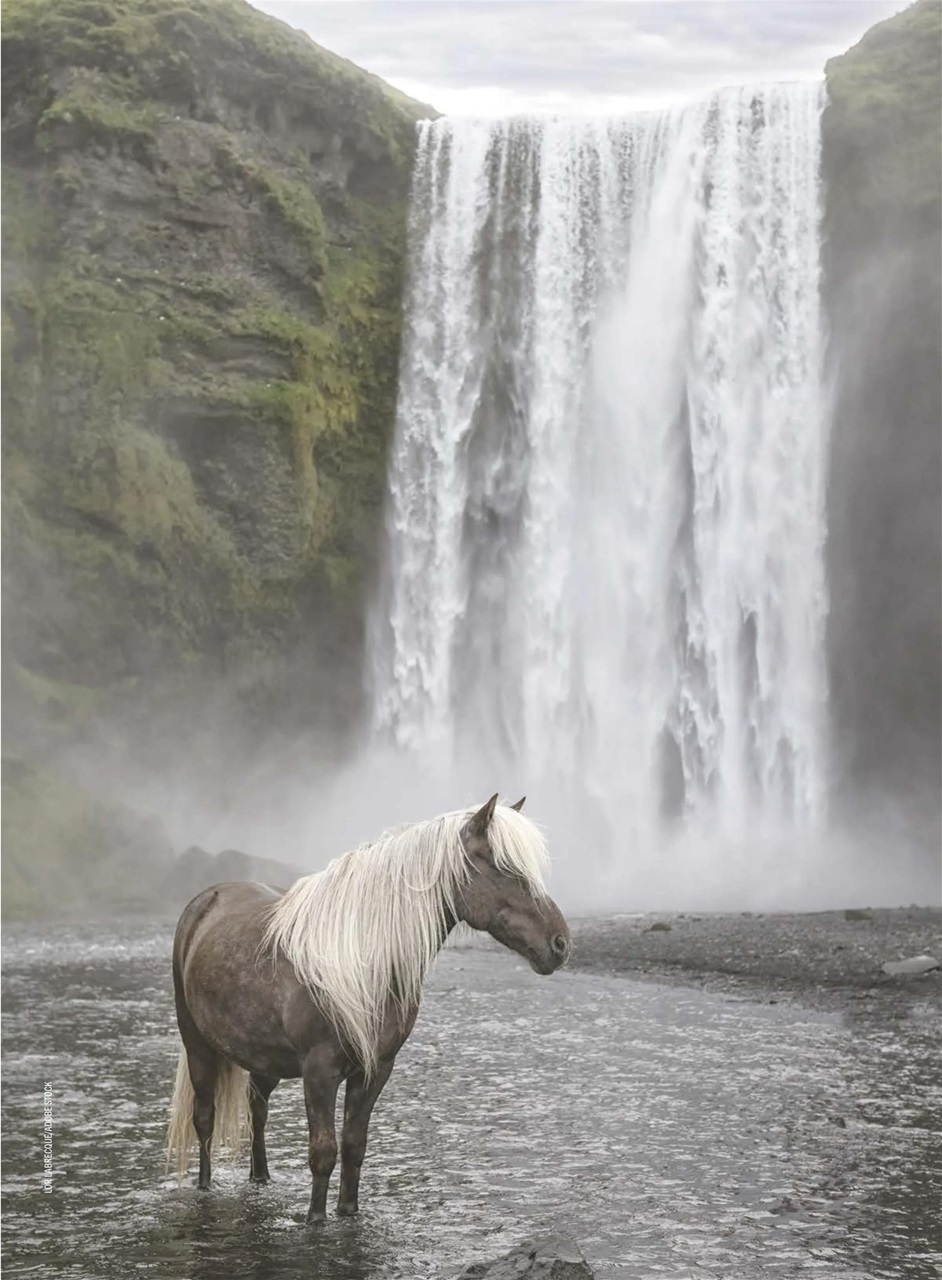 Horse Illustrated Magazine Preview Pages