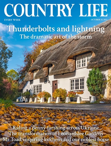 Country Life issue 25-Oct-2023