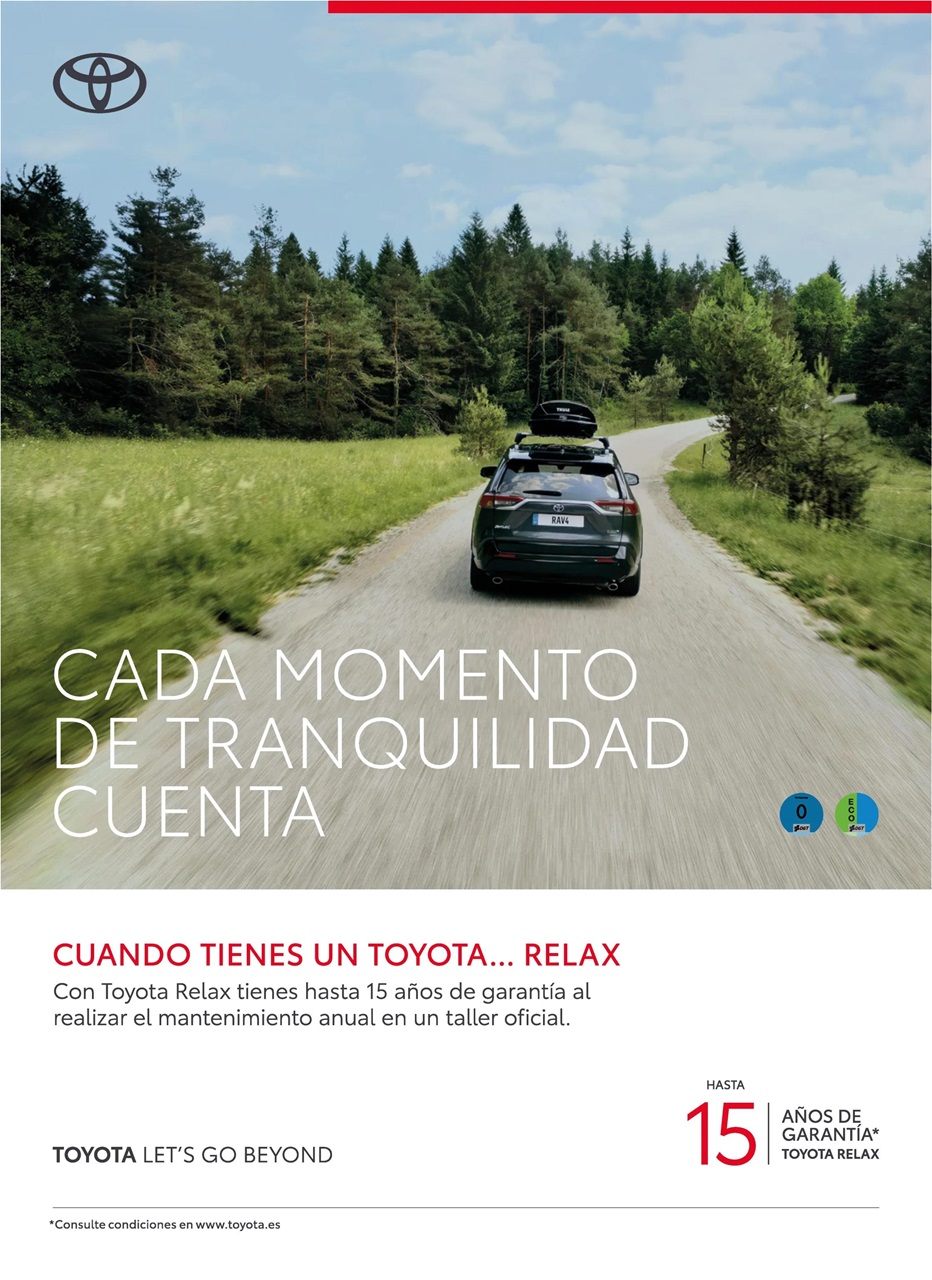 Auto Bild Preview Pages