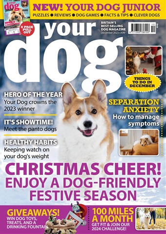 Your Dog issue December 2023