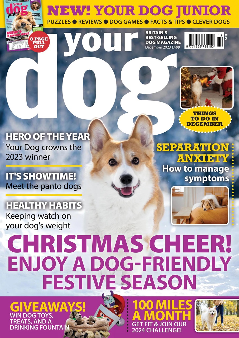 Your Dog Preview Pages