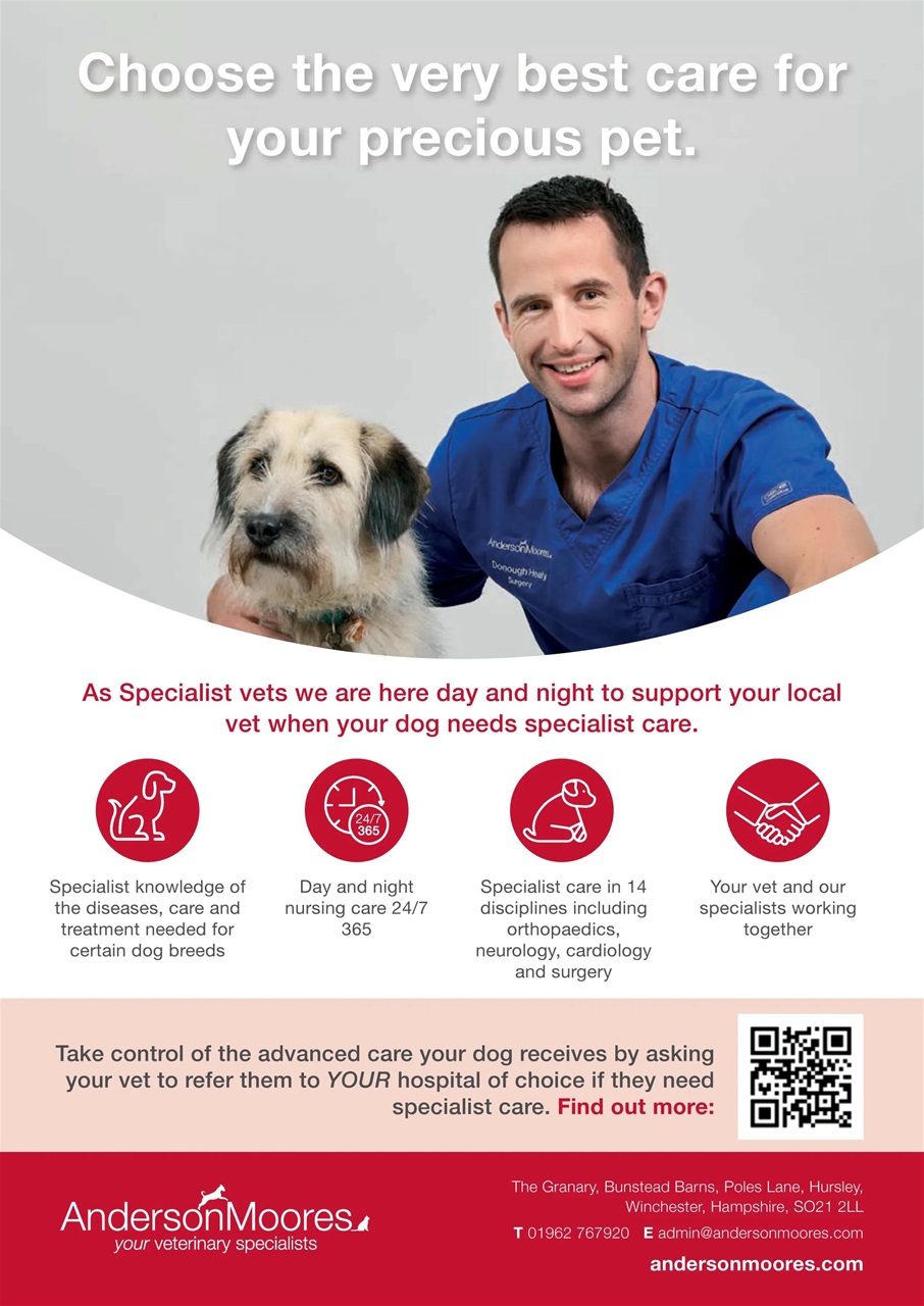 Your Dog Preview Pages