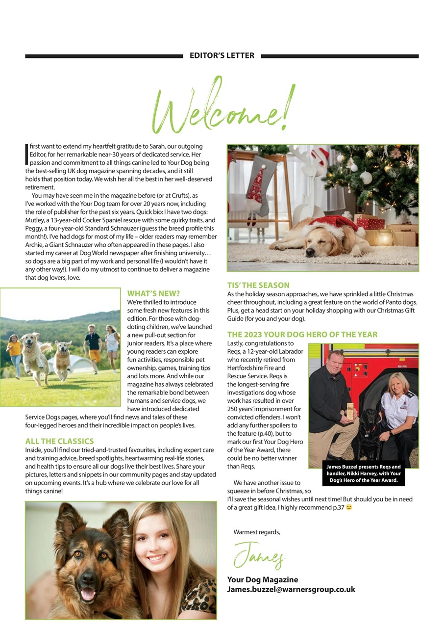 Your Dog Preview Pages