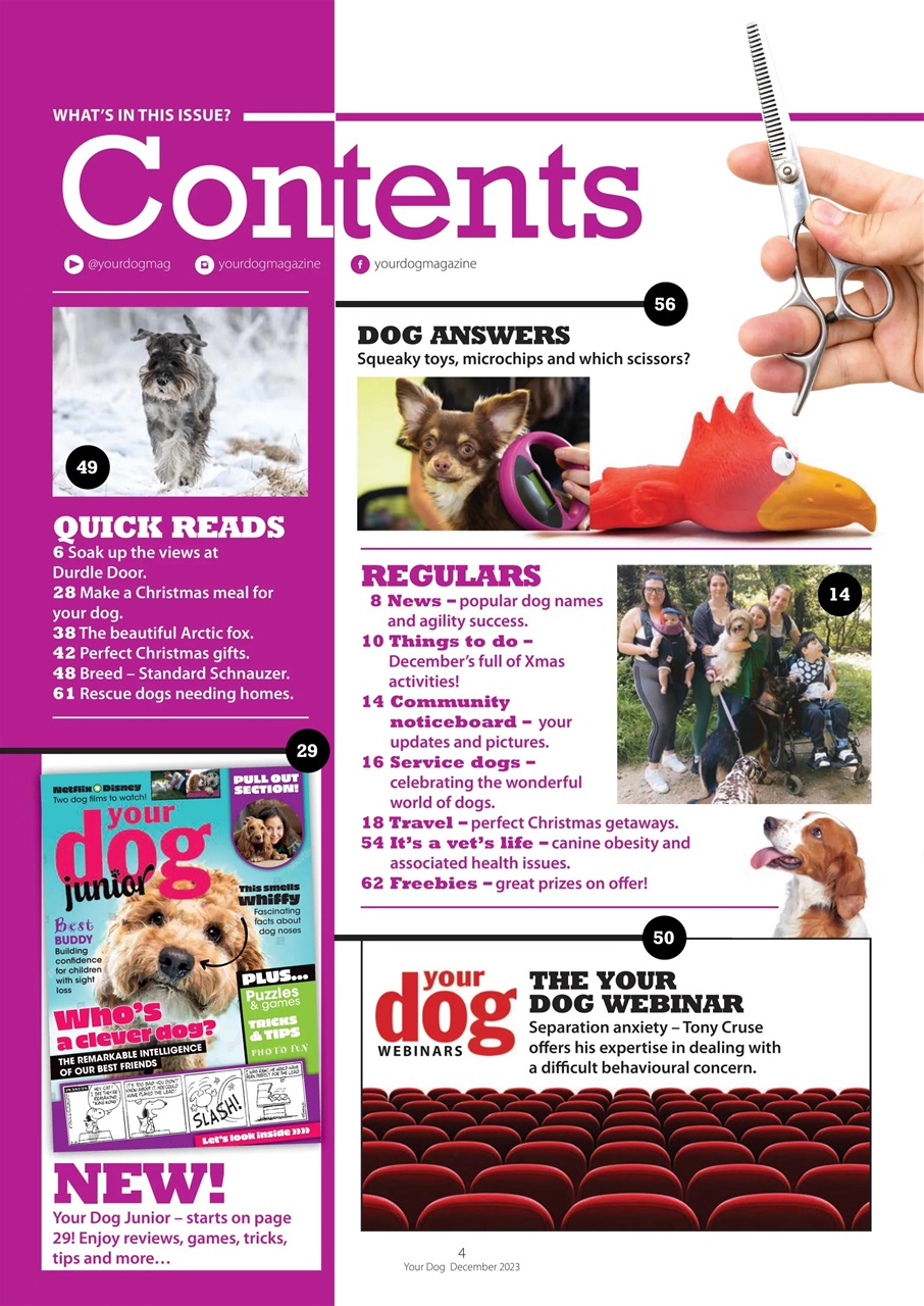Your Dog Preview Pages
