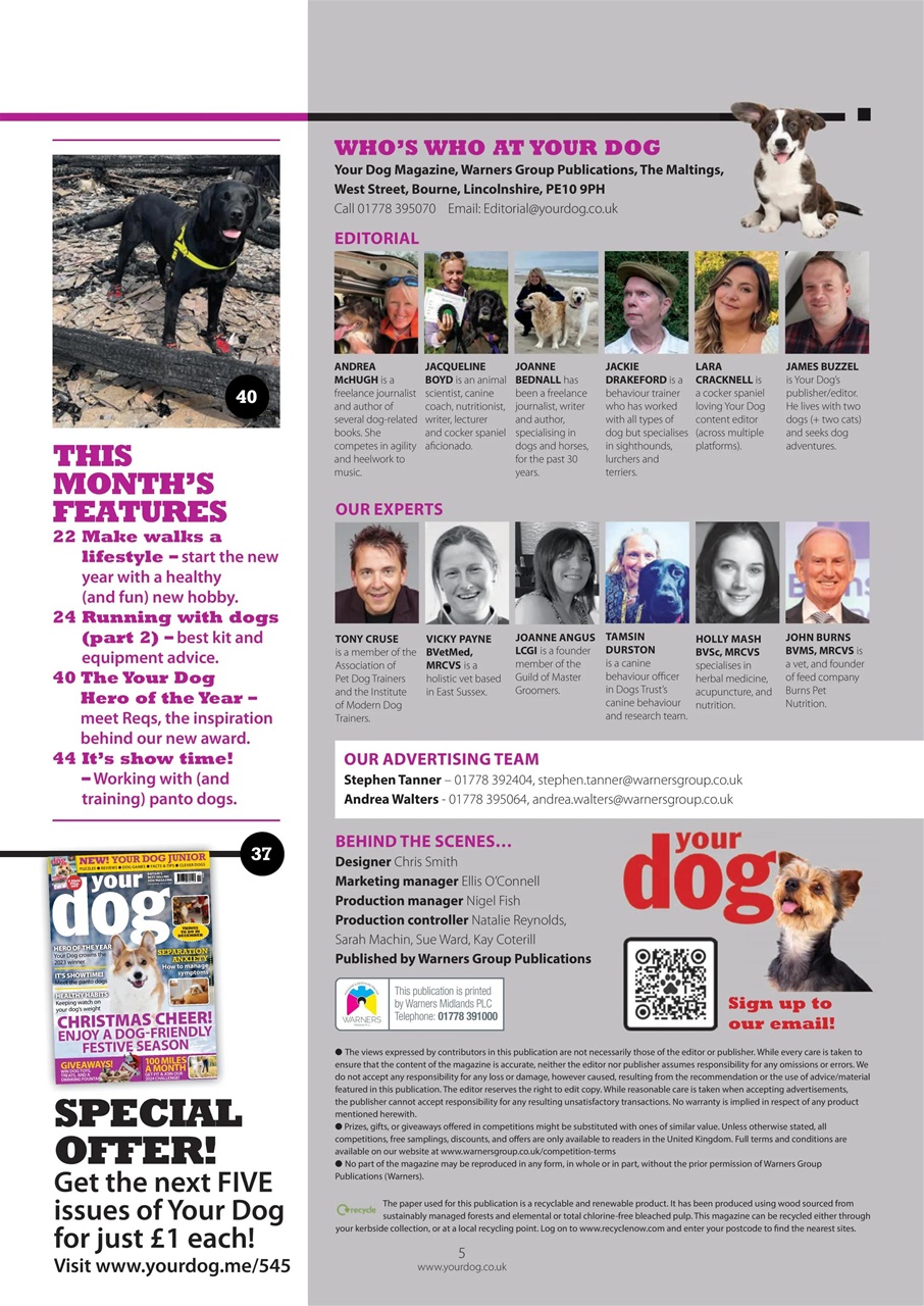 Your Dog Preview Pages