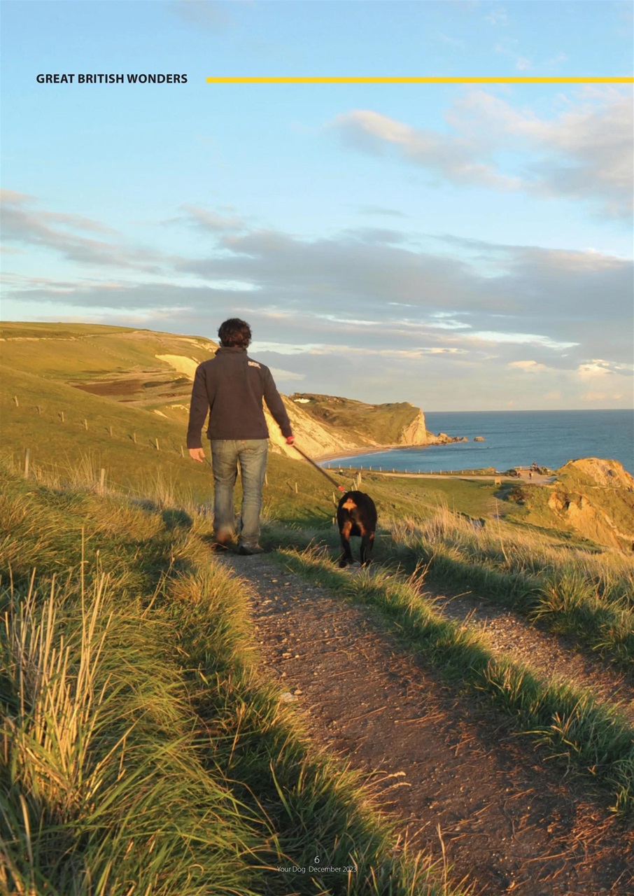 Your Dog Preview Pages