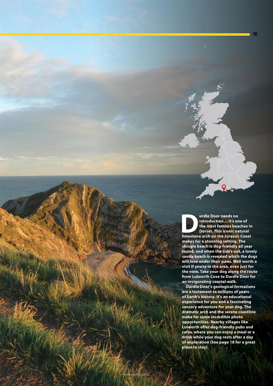 Your Dog Preview Pages